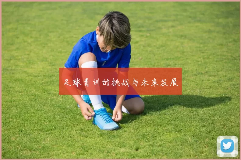 足球青训的挑战与未来发展