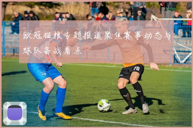 欧冠猫粮专题报道聚焦赛事动态与球队备战看点