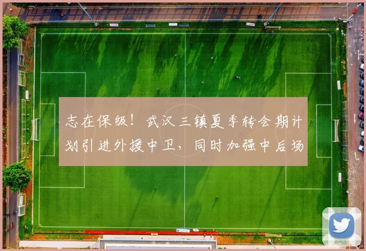 志在保级！武汉三镇夏季转会期计划引进外援中卫，同时加强中后场内援！_防守_防线_调整
