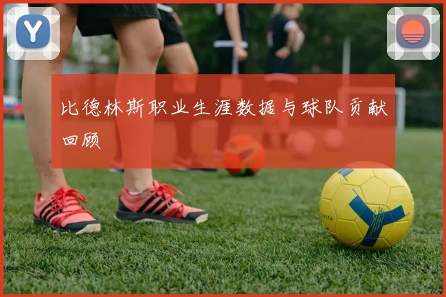 比德林斯职业生涯数据与球队贡献回顾