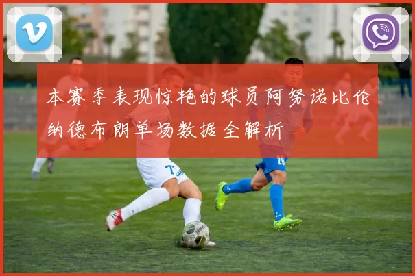 本赛季表现惊艳的球员阿努诺比伦纳德布朗单场数据全解析
