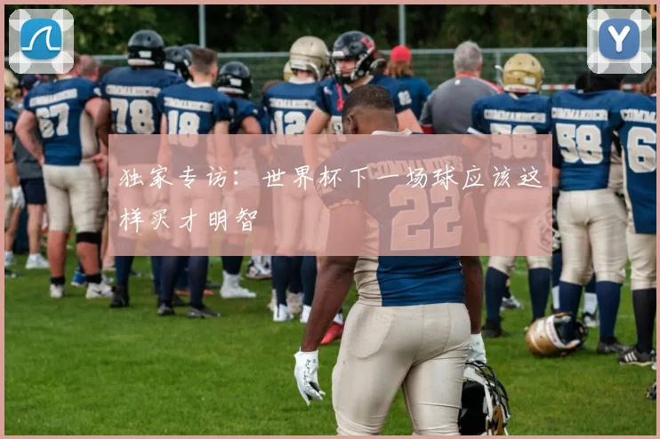 独家专访:世界杯下一场球应该这样买才明智
