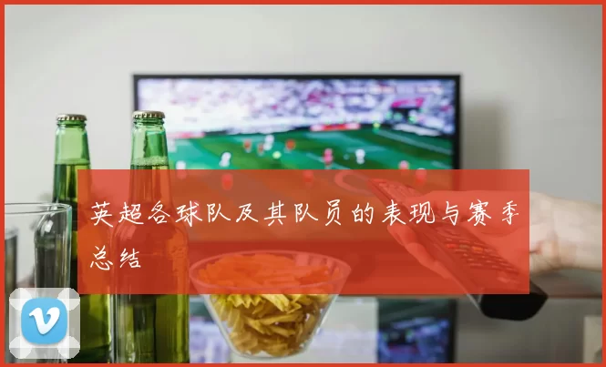 英超各球队及其队员的表现与赛季总结