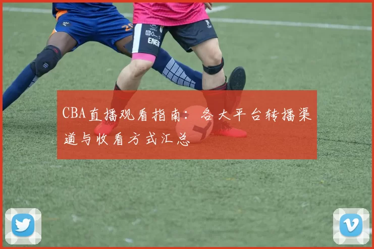 CBA直播观看指南：各大平台转播渠道与收看方式汇总