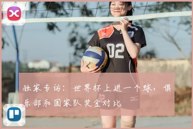 独家专访：世界杯上进一个球，俱乐部和国家队奖金对比