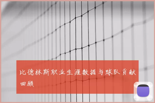 比德林斯职业生涯数据与球队贡献回顾