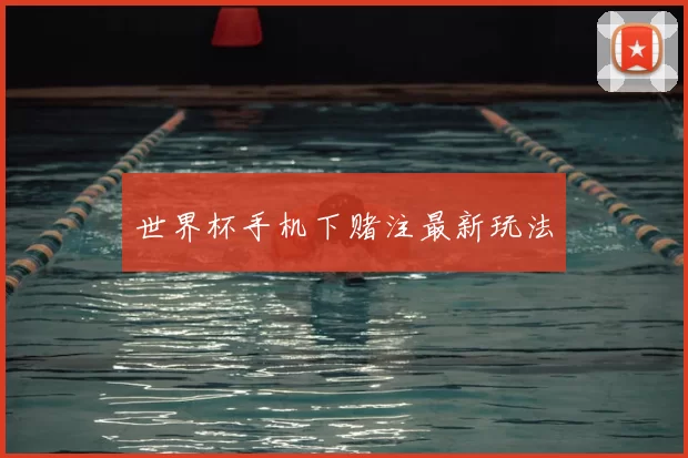 世界杯手机下赌注最新玩法