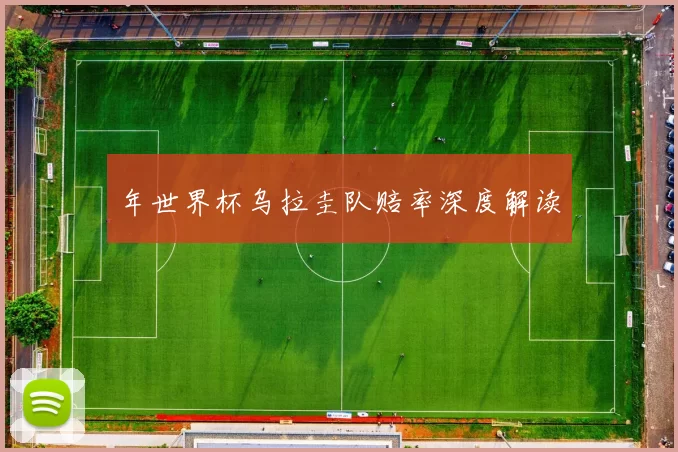 年世界杯乌拉圭队赔率深度解读