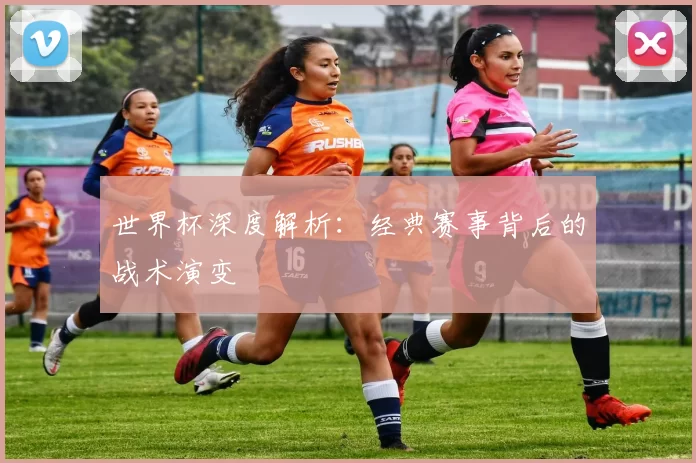 世界杯深度解析:经典赛事背后的战术演变