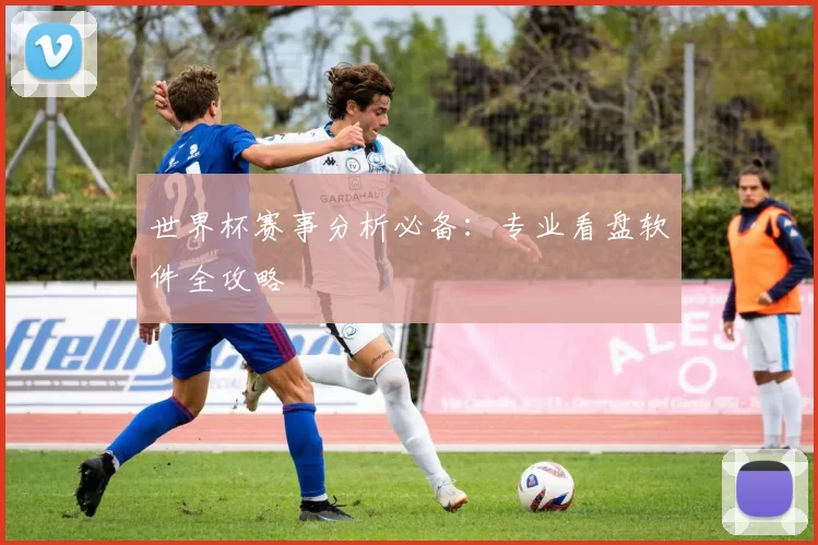 世界杯赛事分析必备:专业看盘软件全攻略