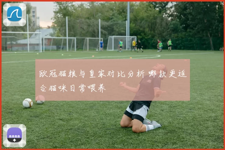 欧冠猫粮与皇家对比分析 哪款更适合猫咪日常喂养