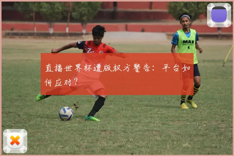 直播世界杯遭版权方警告：平台如何应对？