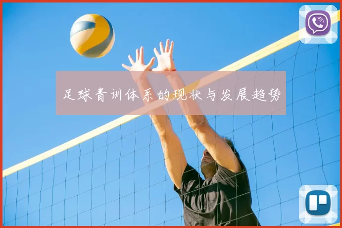 足球青训体系的现状与发展趋势