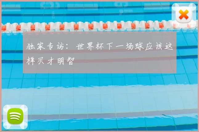 独家专访:世界杯下一场球应该这样买才明智