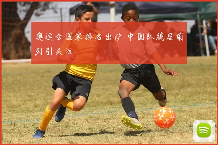 奥运会国家排名出炉 中国队稳居前列引关注