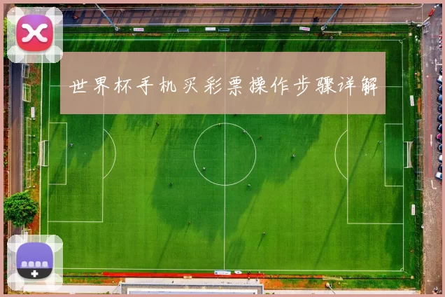世界杯手机买彩票操作步骤详解