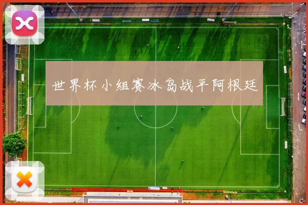 世界杯小组赛冰岛战平阿根廷