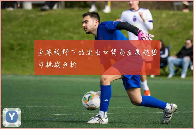 全球视野下的进出口贸易发展趋势与挑战分析