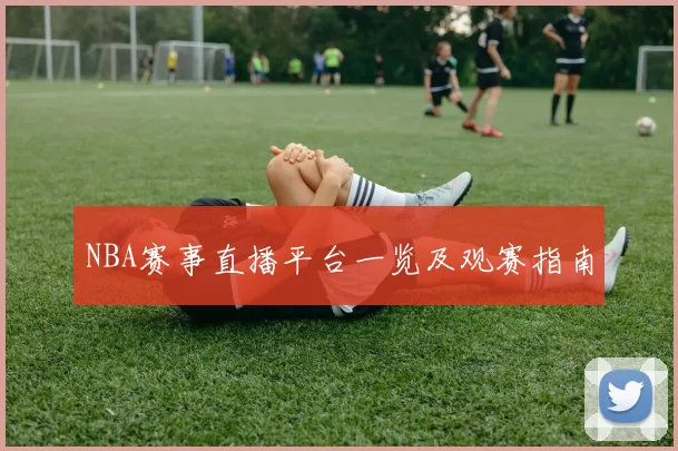 NBA赛事直播平台一览及观赛指南