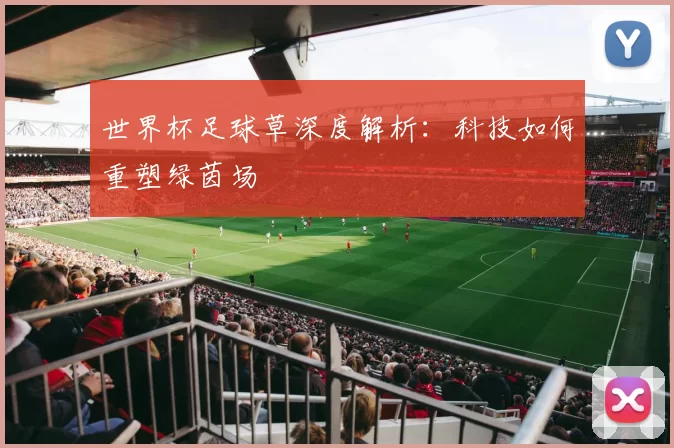 世界杯足球草深度解析:科技如何重塑绿茵场