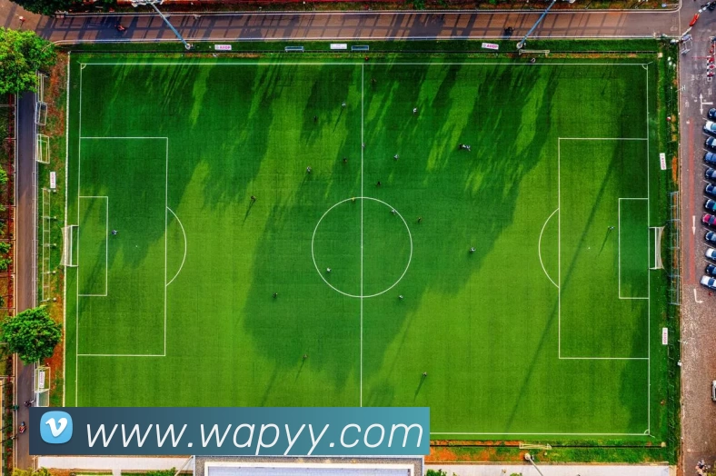 浙江CBA篮球队主场位置及主场优势分析